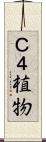 Ｃ４植物 Scroll