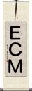 ＥＣＭ Scroll