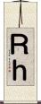 Ｒｈ Scroll