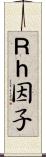 Ｒｈ因子 Scroll