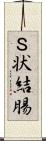 Ｓ状結腸 Scroll