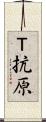 Ｔ抗原 Scroll