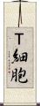 Ｔ細胞 Scroll