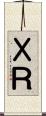 ＸＲ Scroll
