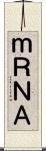 ｍＲＮＡ Scroll