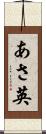 あさ英 Scroll