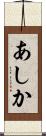 あしか Scroll