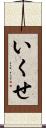 いくせ Scroll