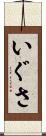 いぐさ Scroll