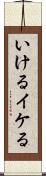 いける Scroll