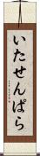 いたせんぱら Scroll