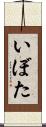 いぼた Scroll