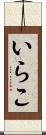 いらこ Scroll