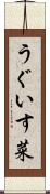 うぐいす菜 Scroll