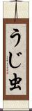 うじ虫 Scroll