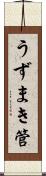 うずまき管 Scroll