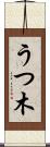 うつ木 Scroll