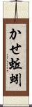 かせ蚯蚓 Scroll