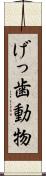 げっ歯動物 Scroll