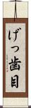 げっ歯目 Scroll
