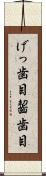 げっ歯目 Scroll