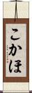 こかほ Scroll
