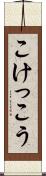 こけっこう Scroll