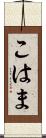 こはま Scroll