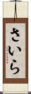 さいら Scroll