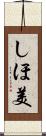しほ美 Scroll