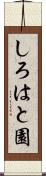 しろはと園 Scroll