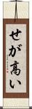 せが高い Scroll