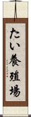 たい養殖場 Scroll