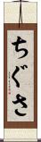 ちぐさ Scroll