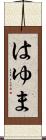 はゆま Scroll