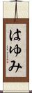 はゆみ Scroll