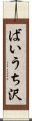 ばいうち沢 Scroll
