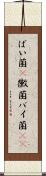 ばい菌(P) Scroll