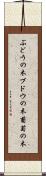 ぶどうの木 Scroll
