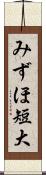 みずほ短大 Scroll