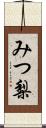 みつ梨 Scroll
