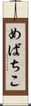 めばちこ Scroll