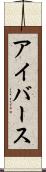 アイバース Scroll