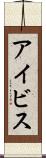 アイビス Scroll