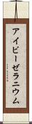 アイビーゼラニウム Scroll