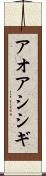 アオアシシギ Scroll
