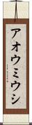 アオウミウシ Scroll