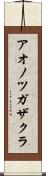 アオノツガザクラ Scroll
