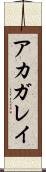 アカガレイ Scroll