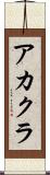 アカクラ Scroll